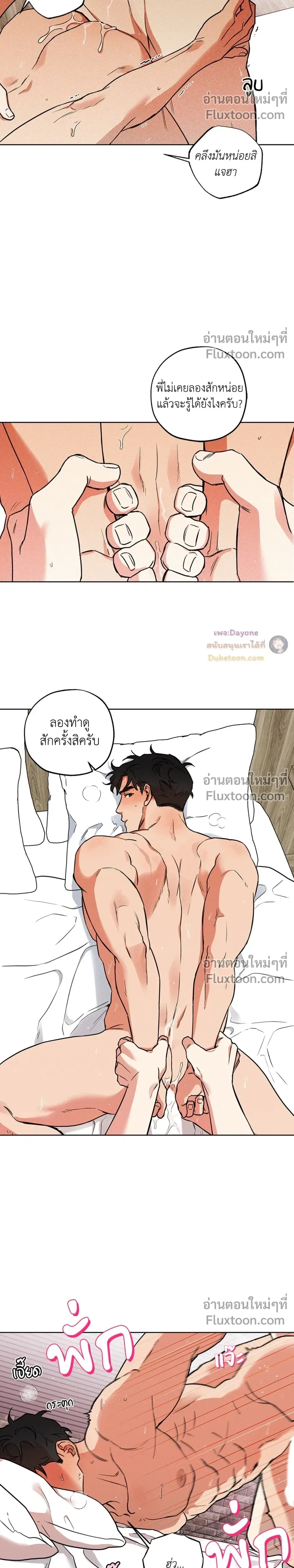 หน้าที่ 17