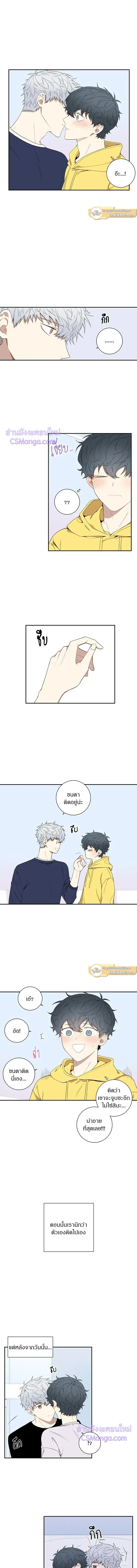 หน้าที่ 3