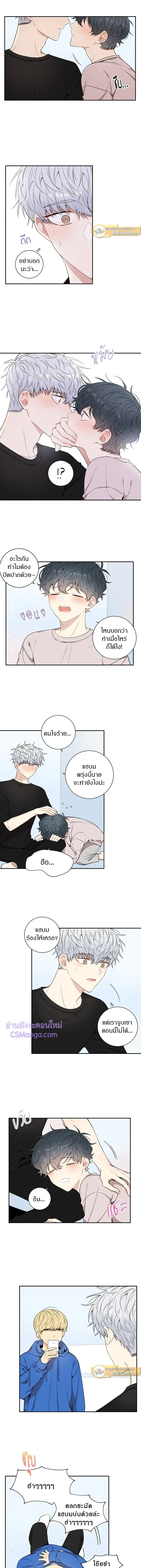 หน้าที่ 6