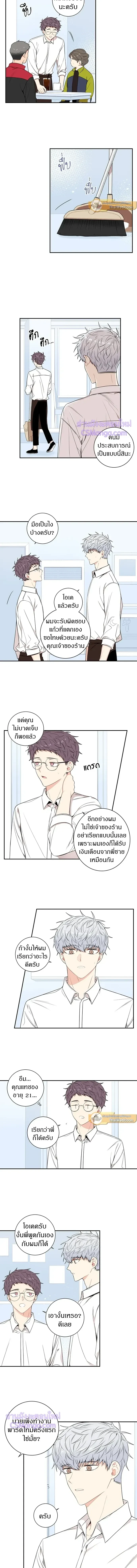 หน้าที่ 3