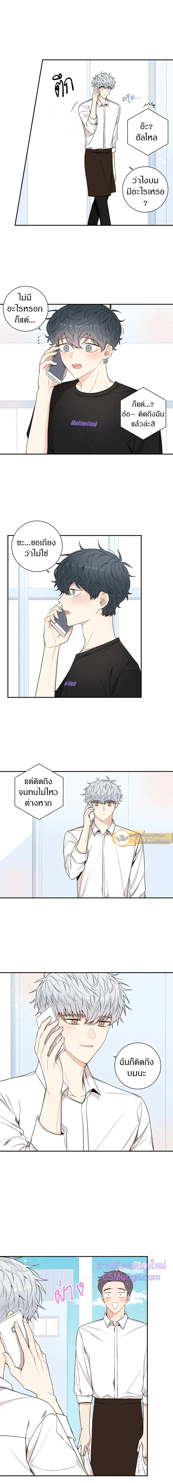 หน้าที่ 8