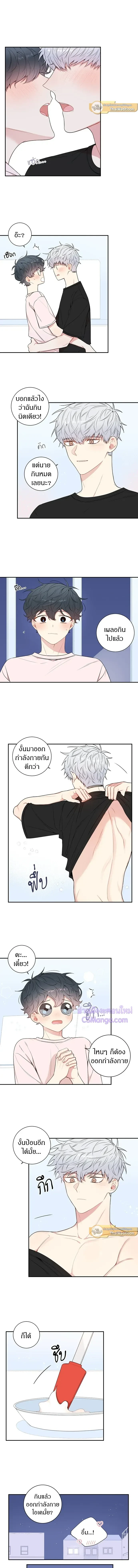 หน้าที่ 8
