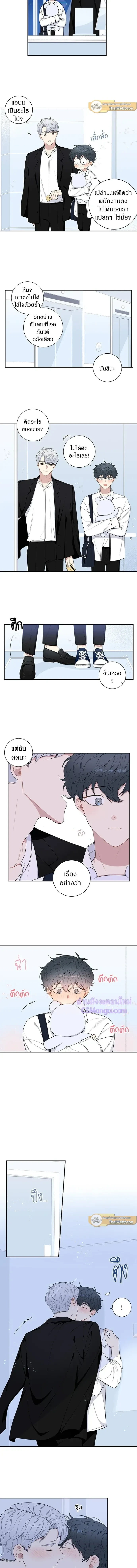 หน้าที่ 8
