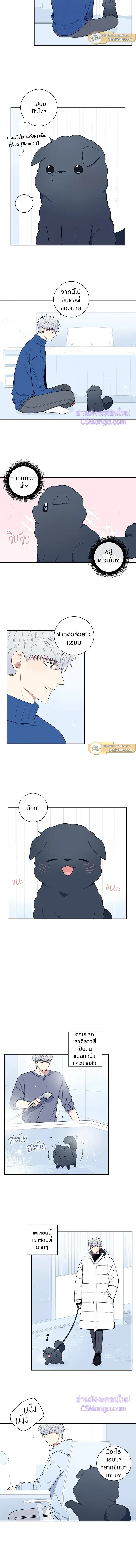 หน้าที่ 5