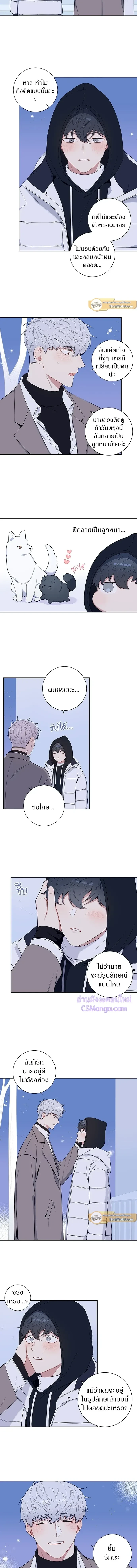 หน้าที่ 6