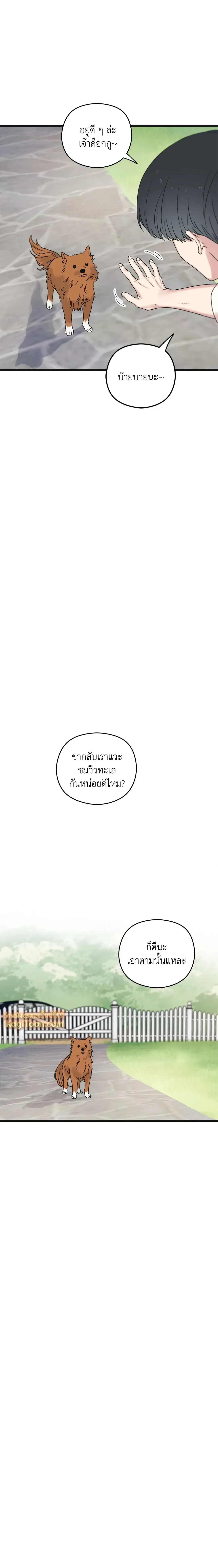 หน้าที่ 12