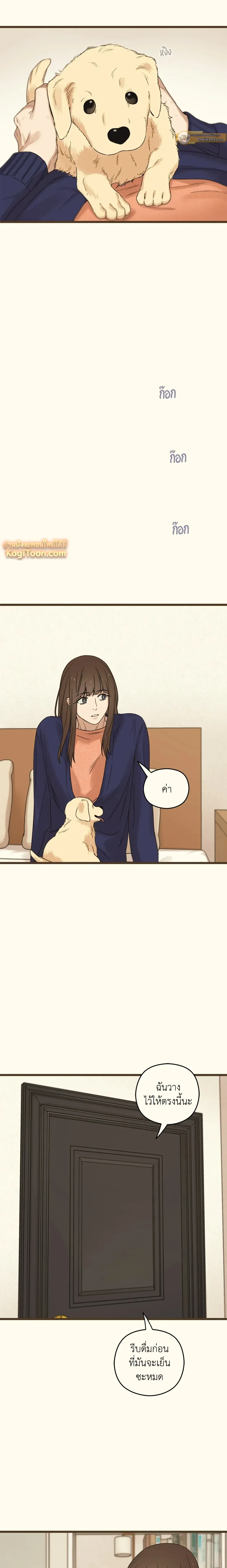 หน้าที่ 3