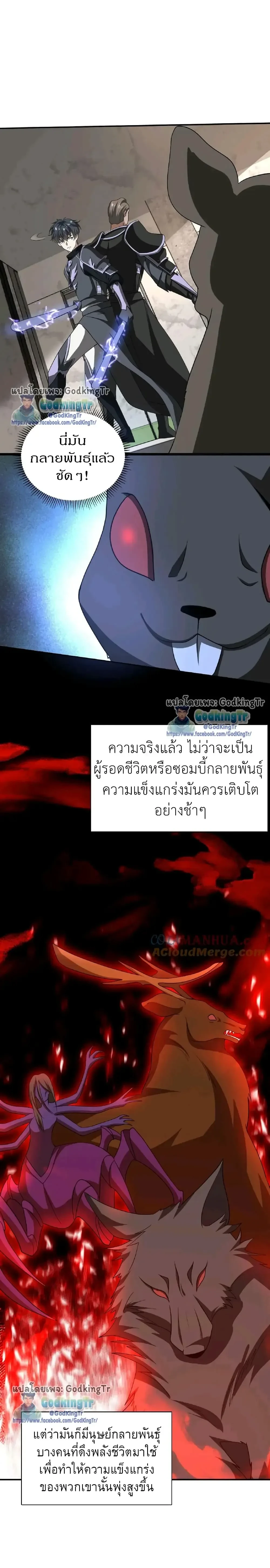หน้าที่ 5