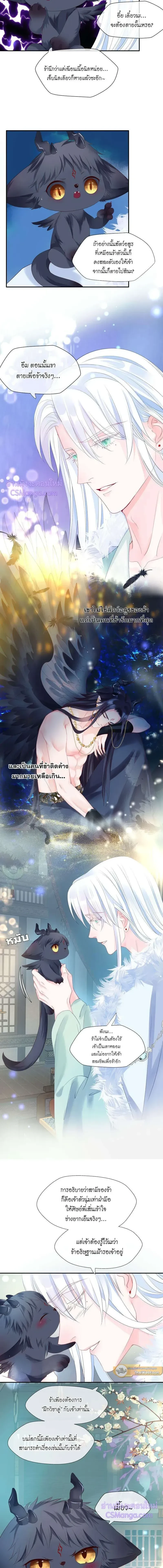 หน้าที่ 3