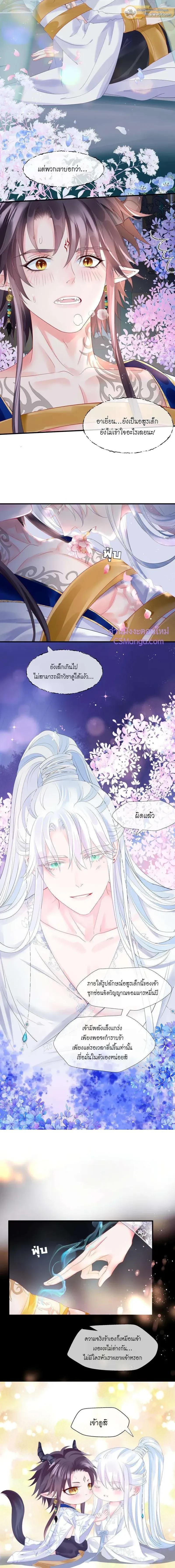 หน้าที่ 5