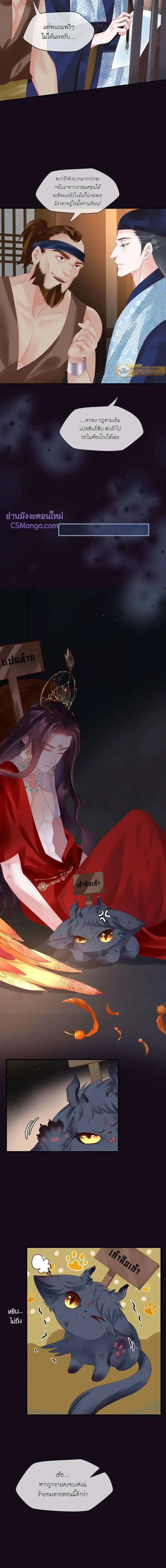หน้าที่ 3