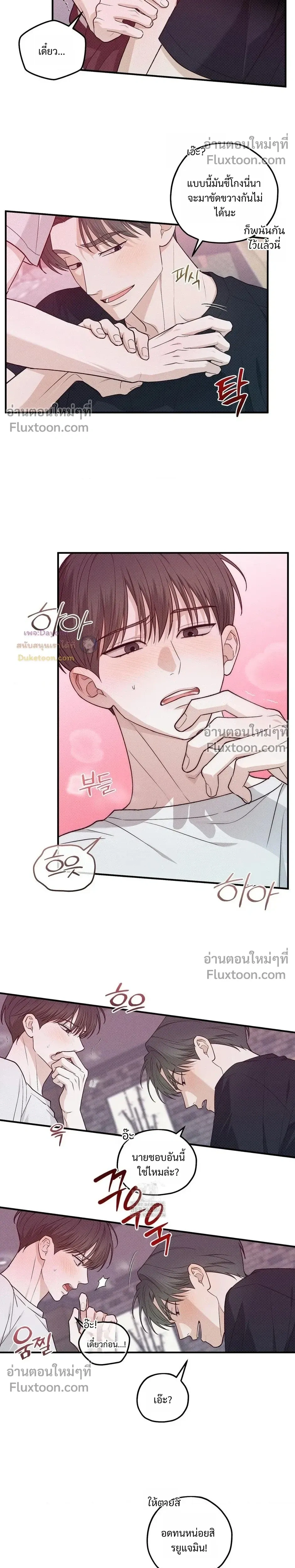 หน้าที่ 17