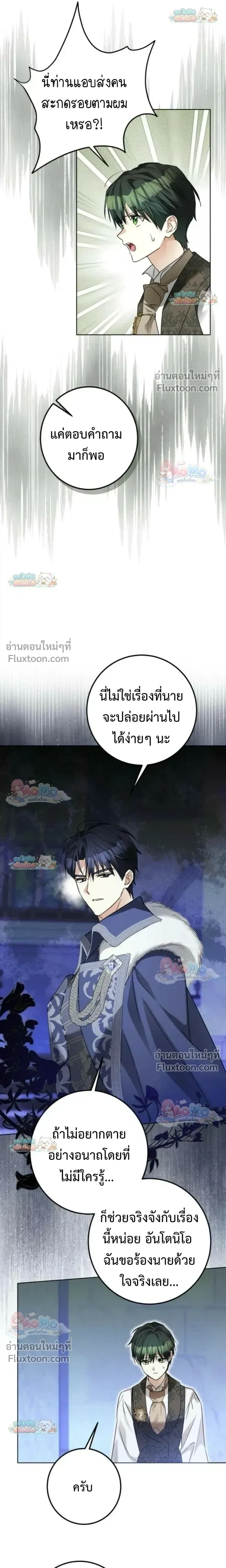หน้าที่ 13