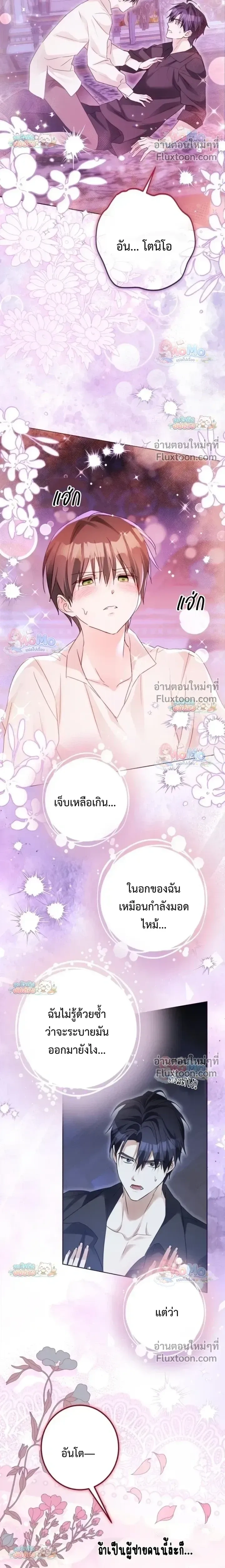 หน้าที่ 13
