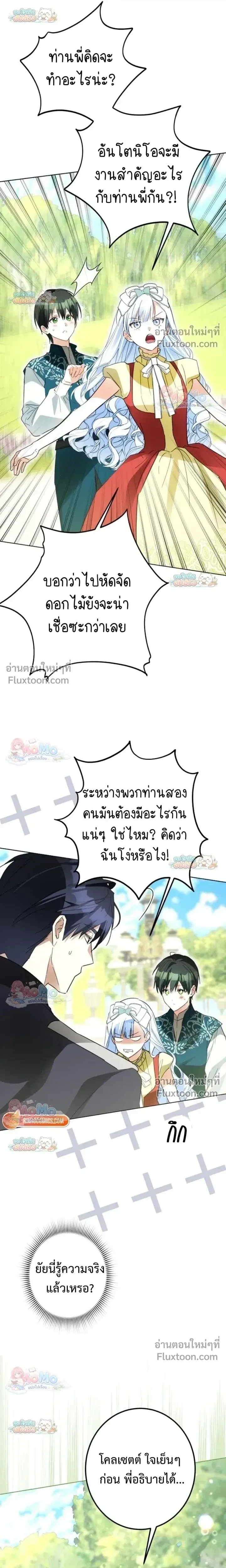 หน้าที่ 17