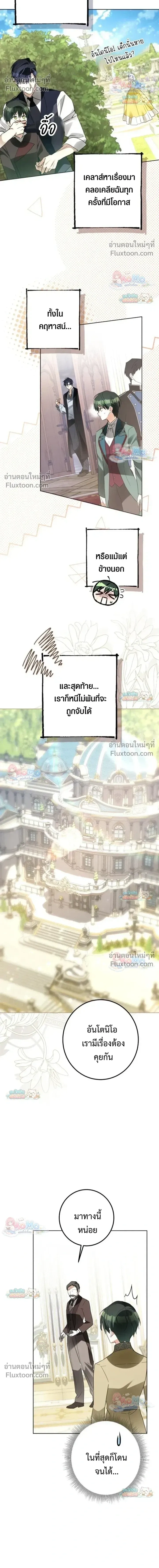หน้าที่ 13
