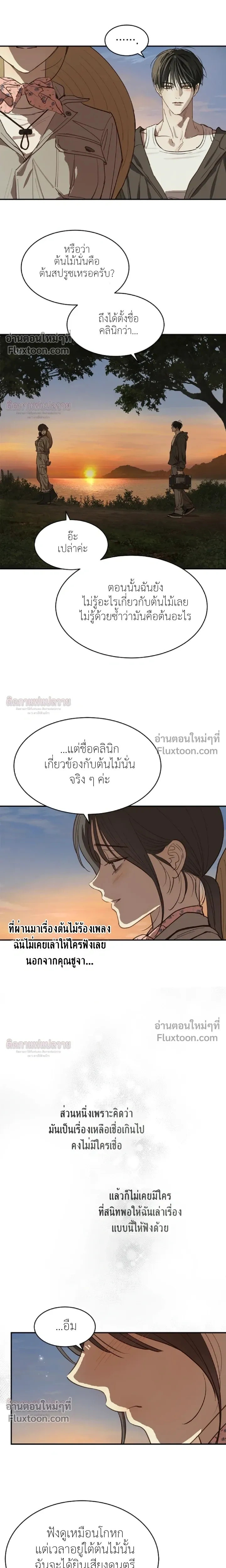 หน้าที่ 13
