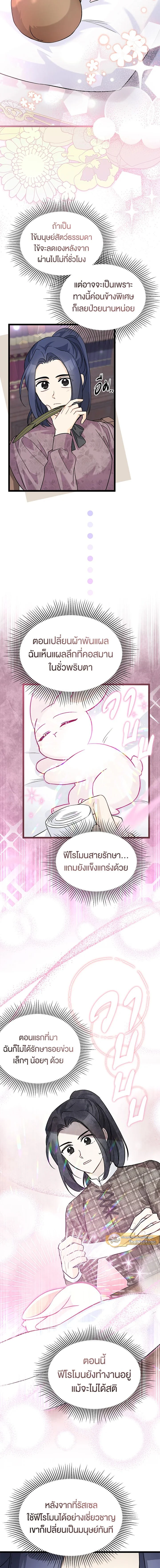 หน้าที่ 13