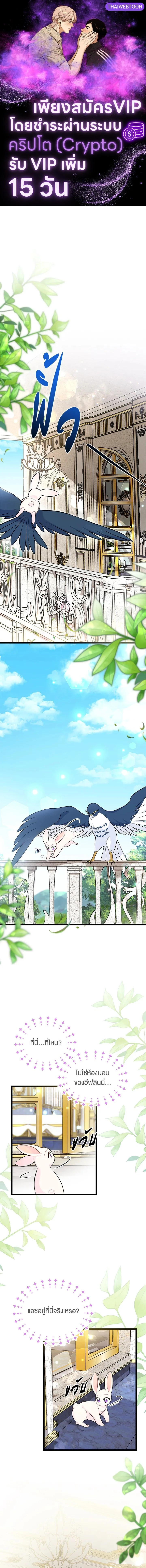 หน้าที่ 1