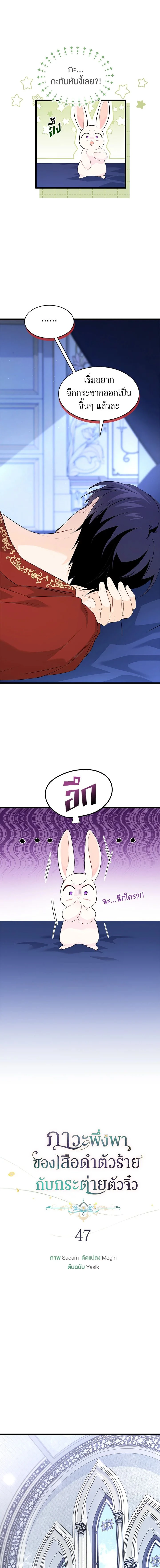หน้าที่ 3