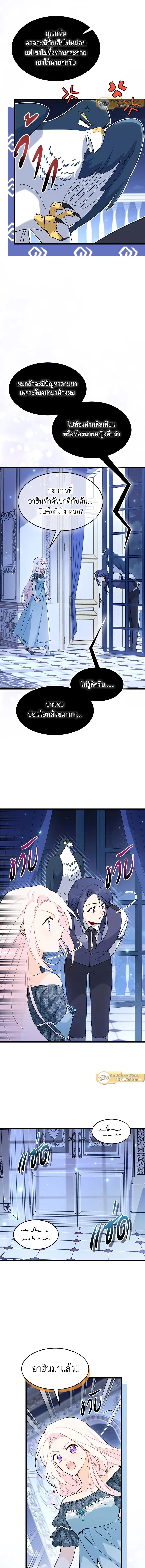 หน้าที่ 11
