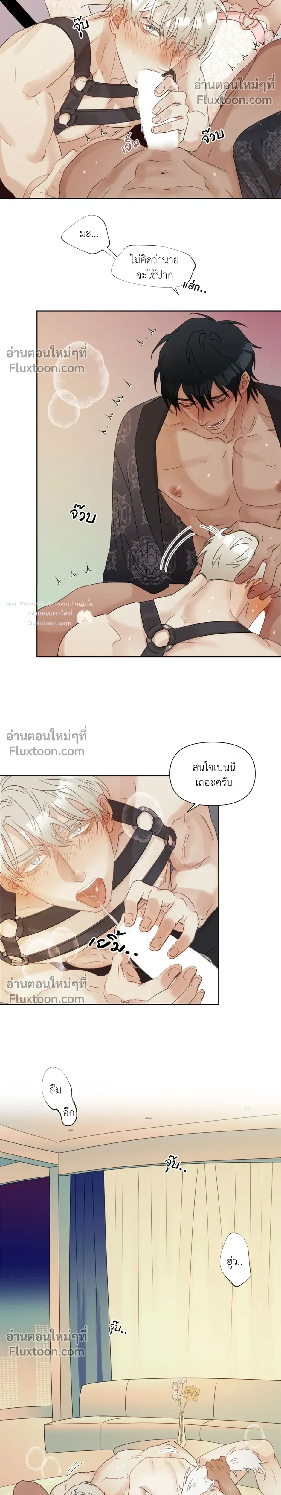 หน้าที่ 5