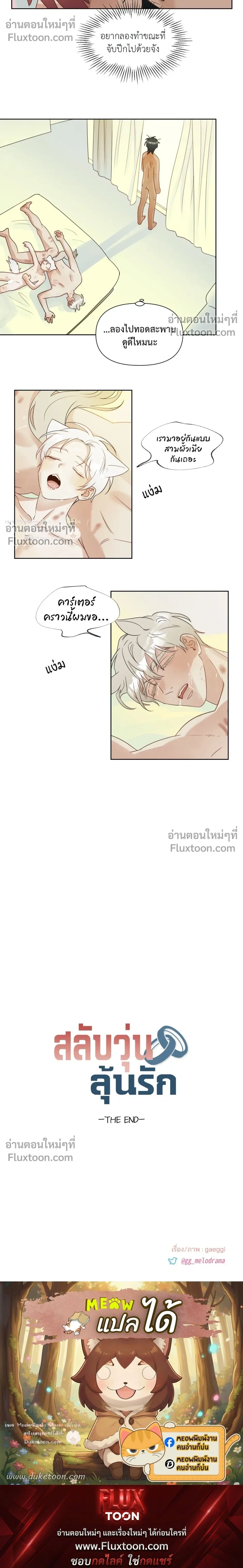 หน้าที่ 17