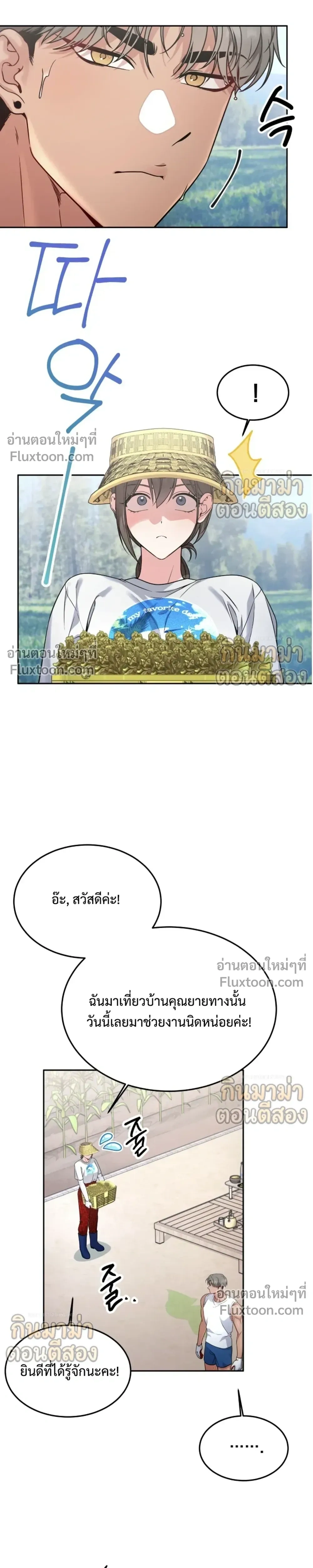 หน้าที่ 17