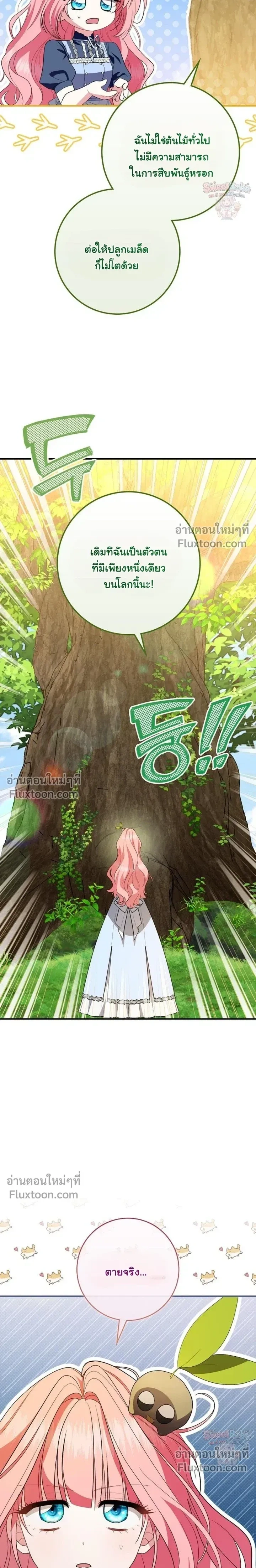 หน้าที่ 30