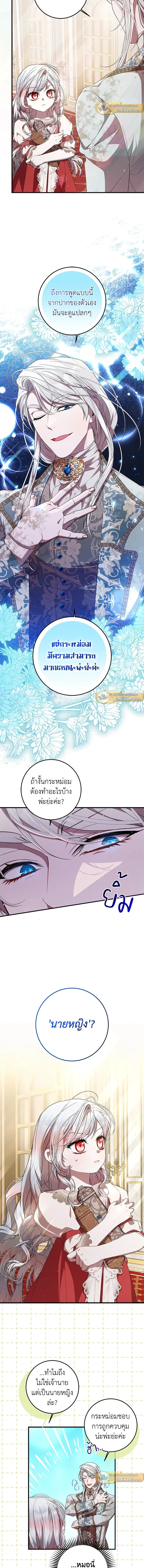 หน้าที่ 11
