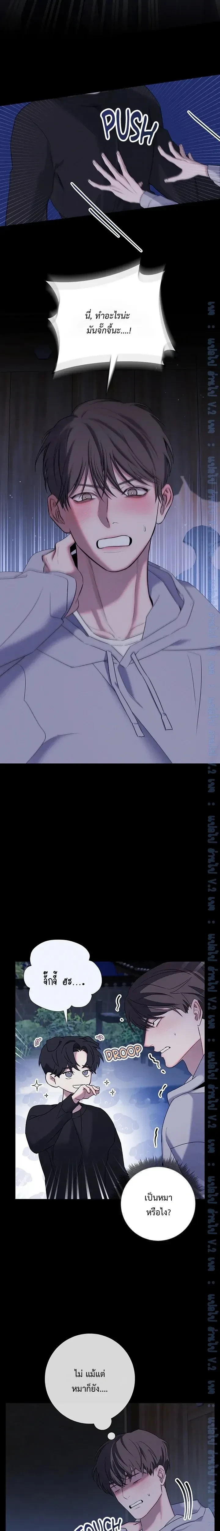 หน้าที่ 11