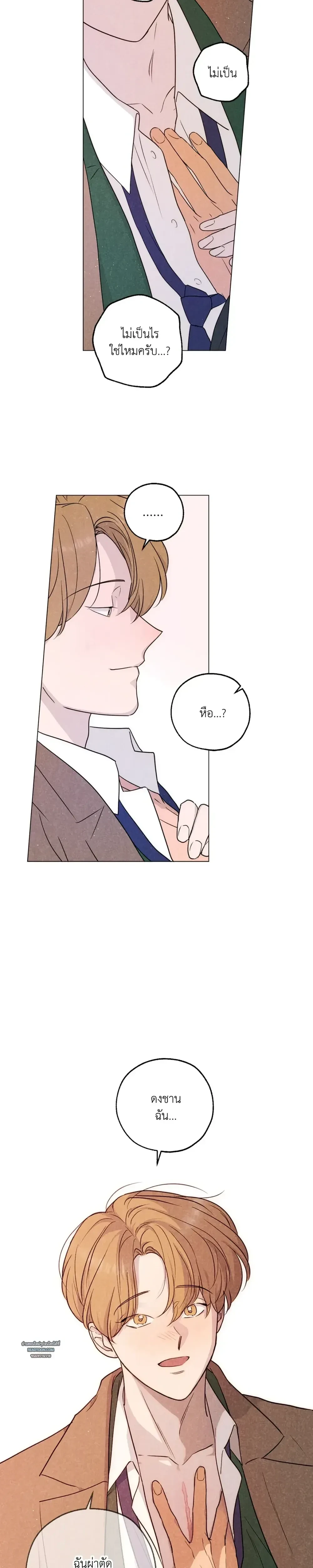 หน้าที่ 11