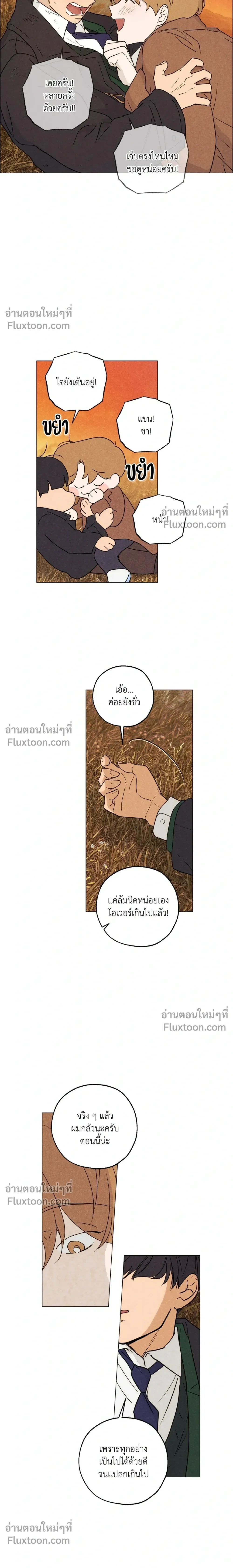 หน้าที่ 13