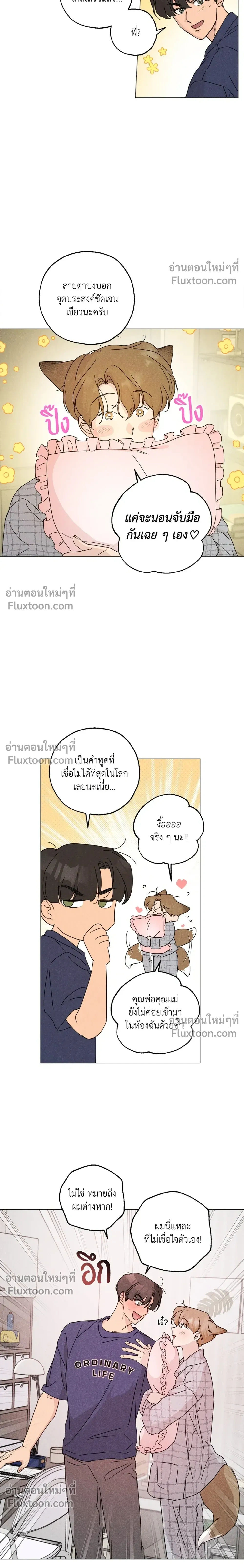 หน้าที่ 13