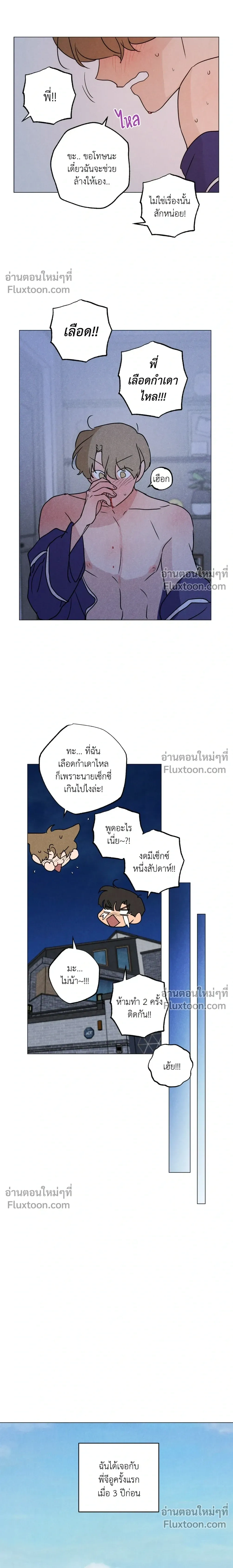 หน้าที่ 13