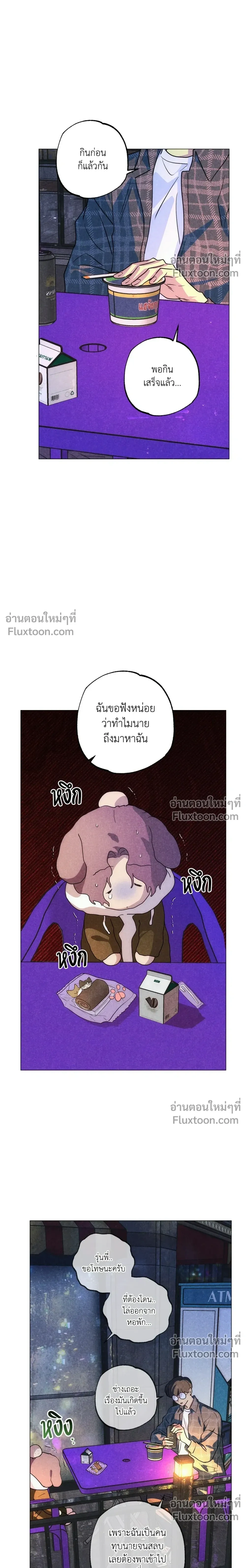 หน้าที่ 13