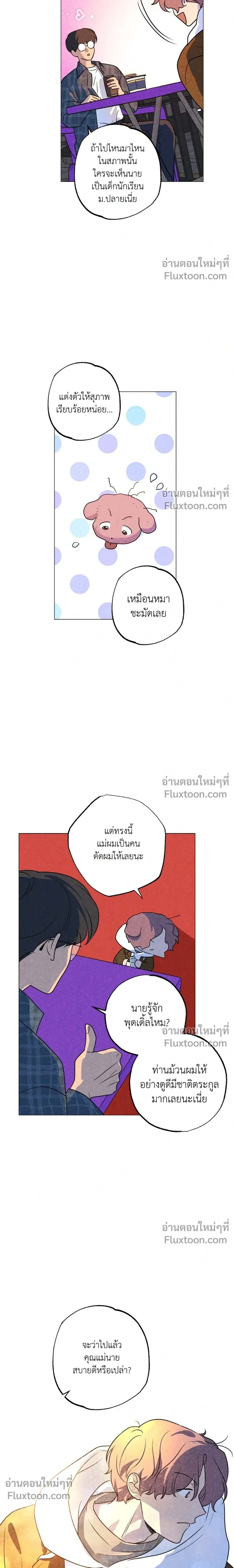 หน้าที่ 17