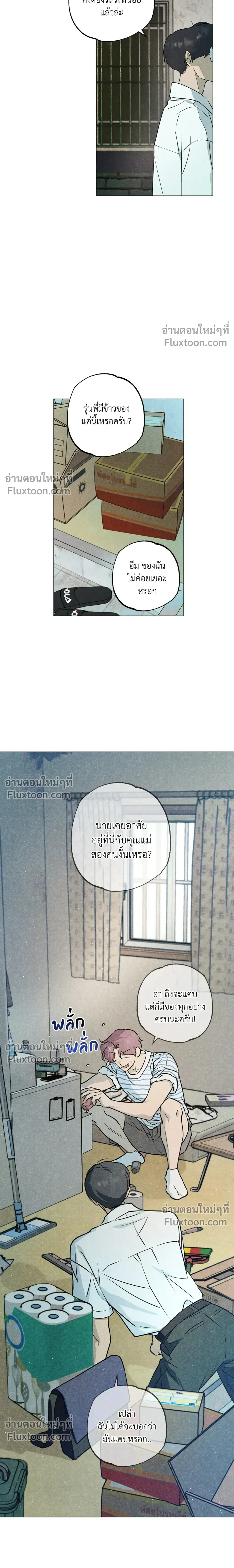 หน้าที่ 13