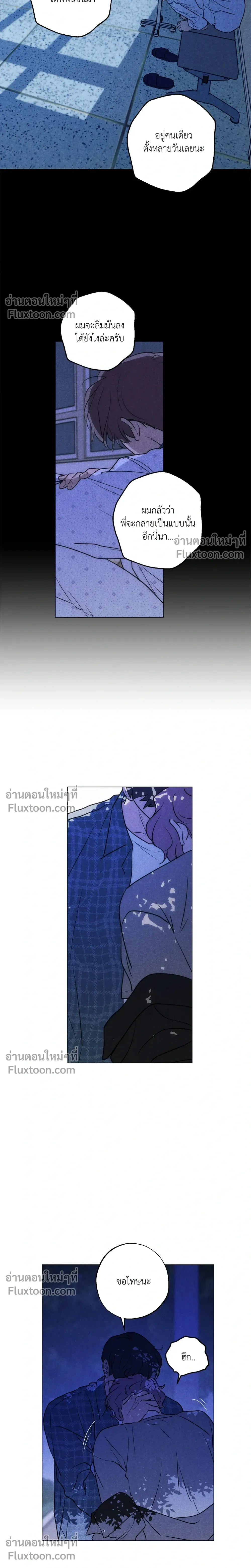 หน้าที่ 13