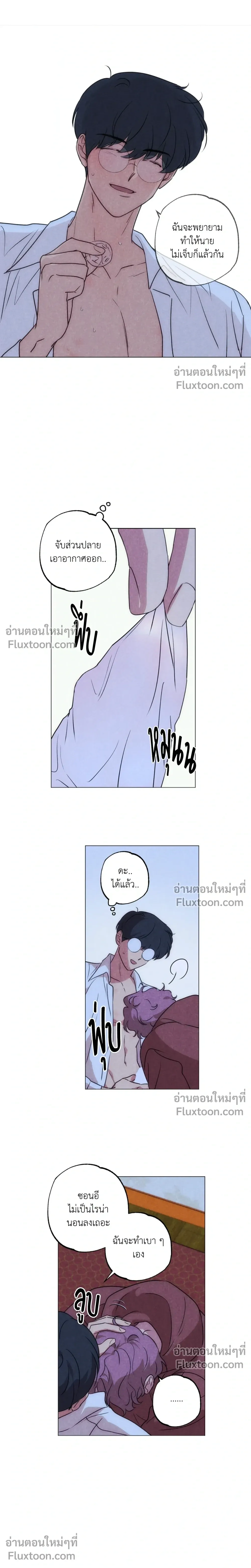 หน้าที่ 13