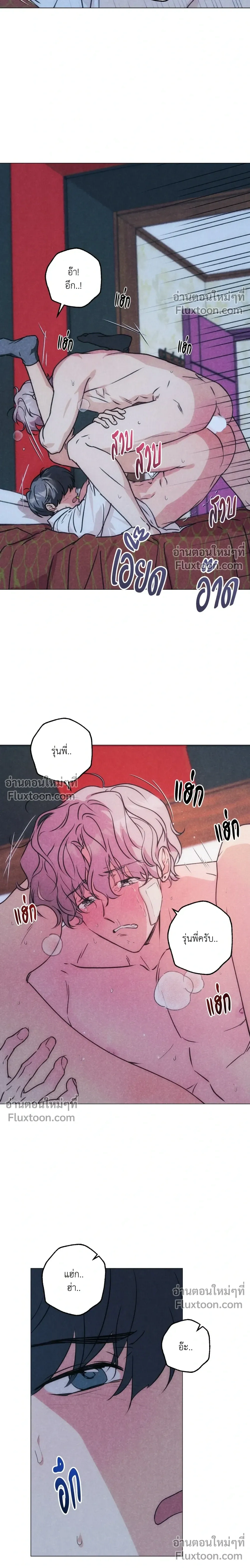 หน้าที่ 13