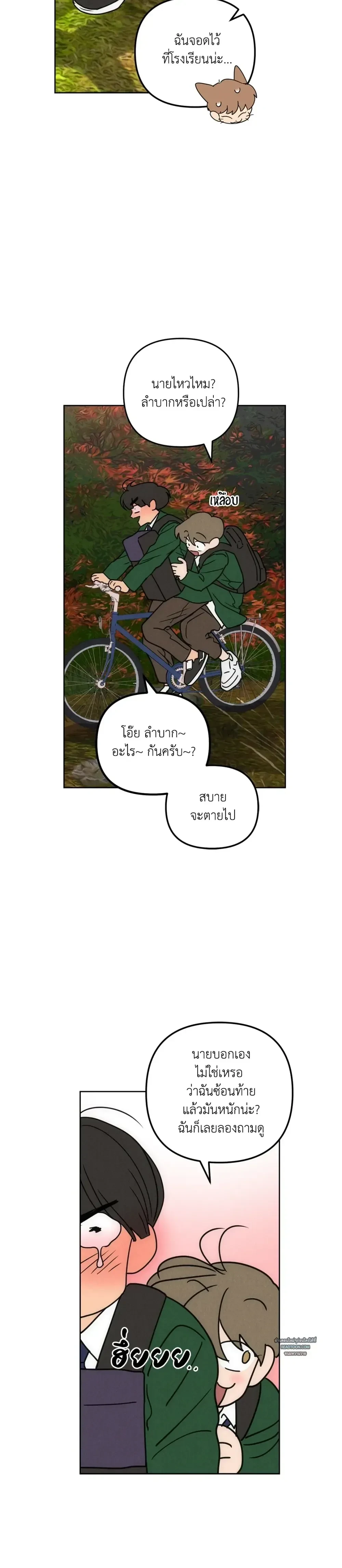 หน้าที่ 15