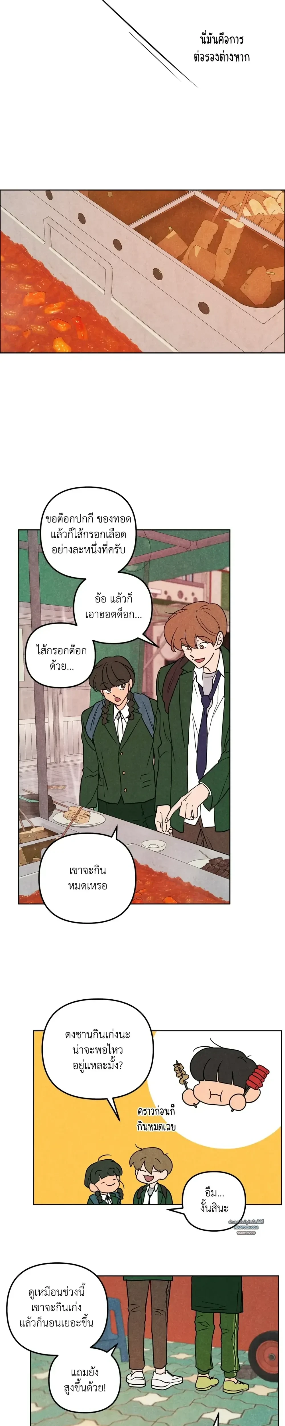 หน้าที่ 17