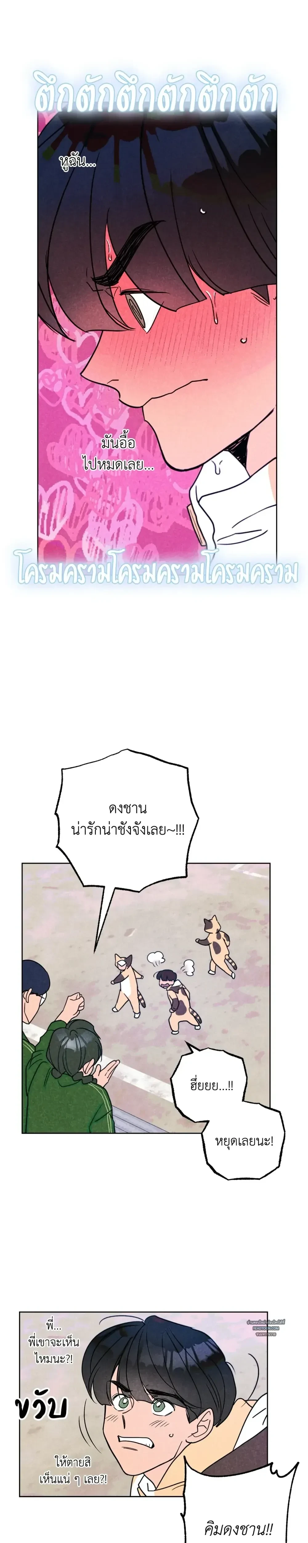 หน้าที่ 11