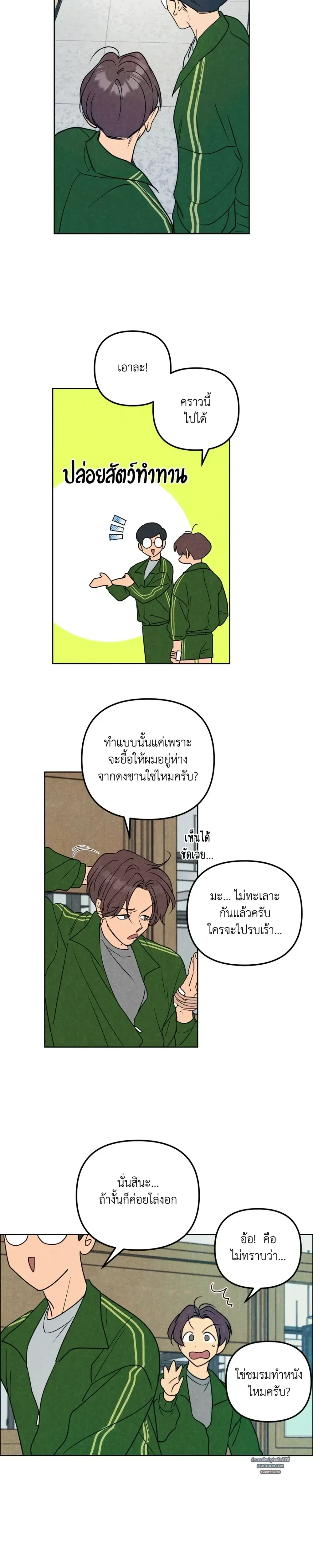หน้าที่ 13