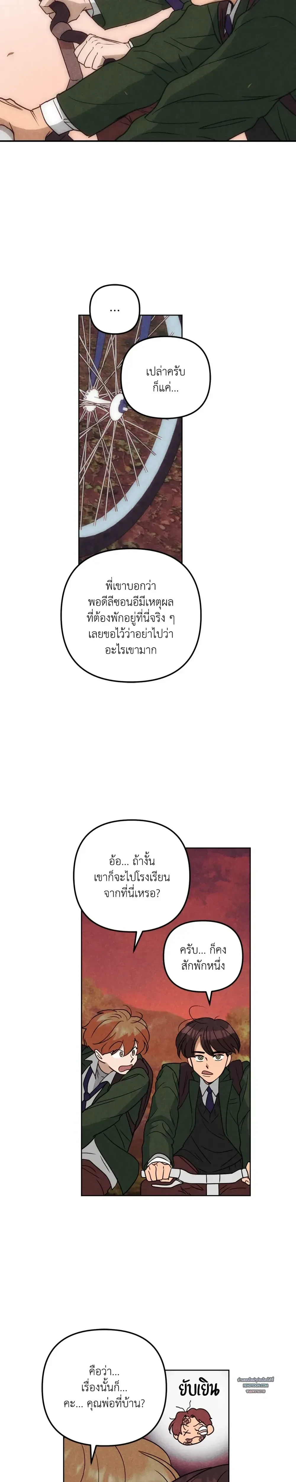หน้าที่ 13