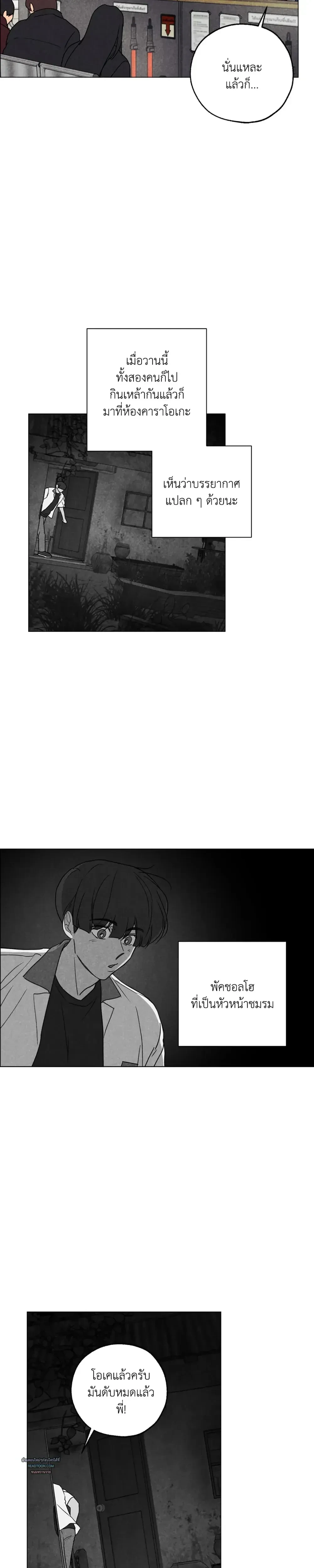 หน้าที่ 13