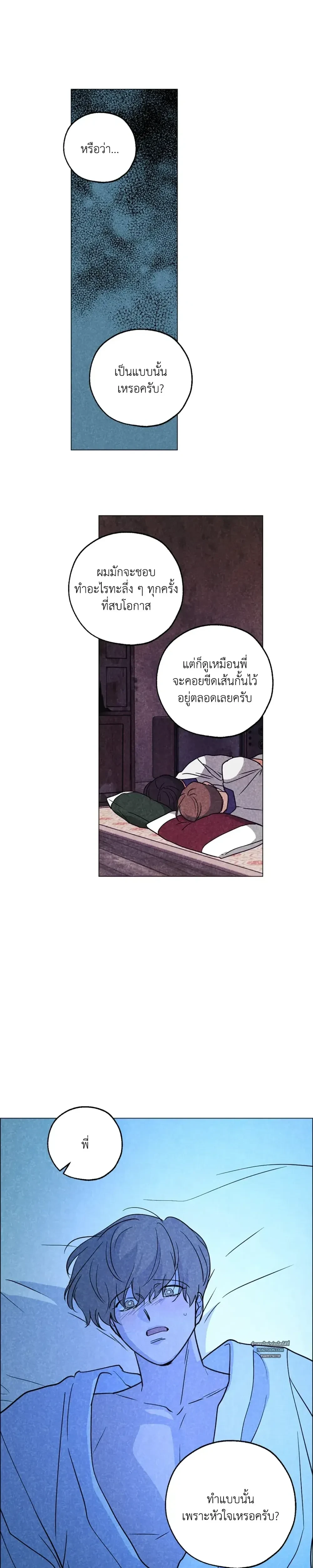 หน้าที่ 17