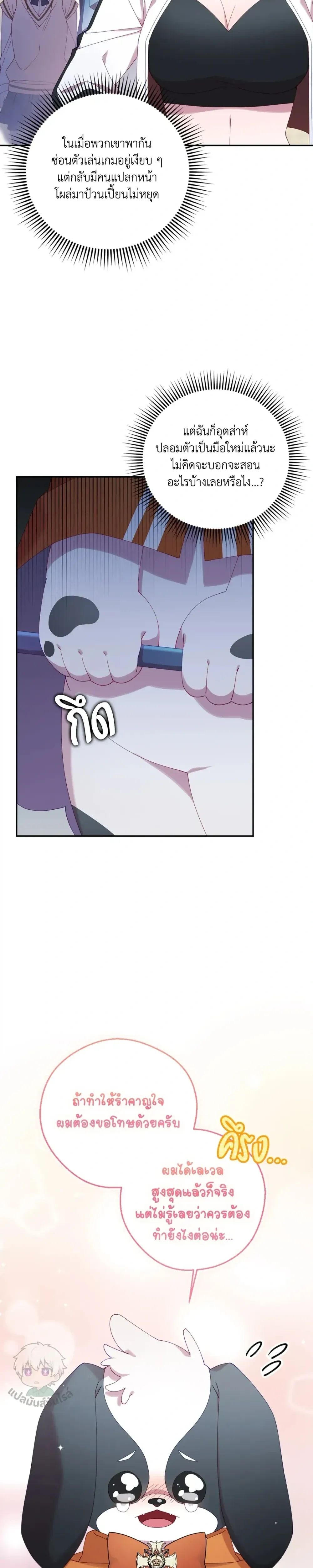 หน้าที่ 17