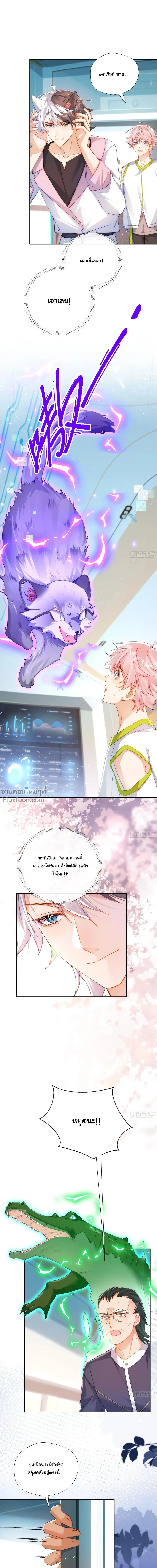 หน้าที่ 11